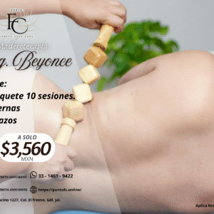 Paq. Beyonce (10 Sesiones)