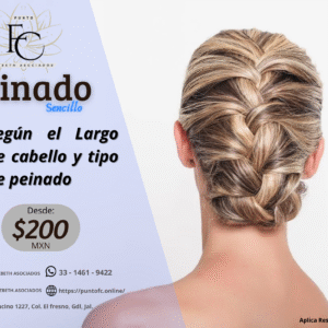 Peinado Sencillo
